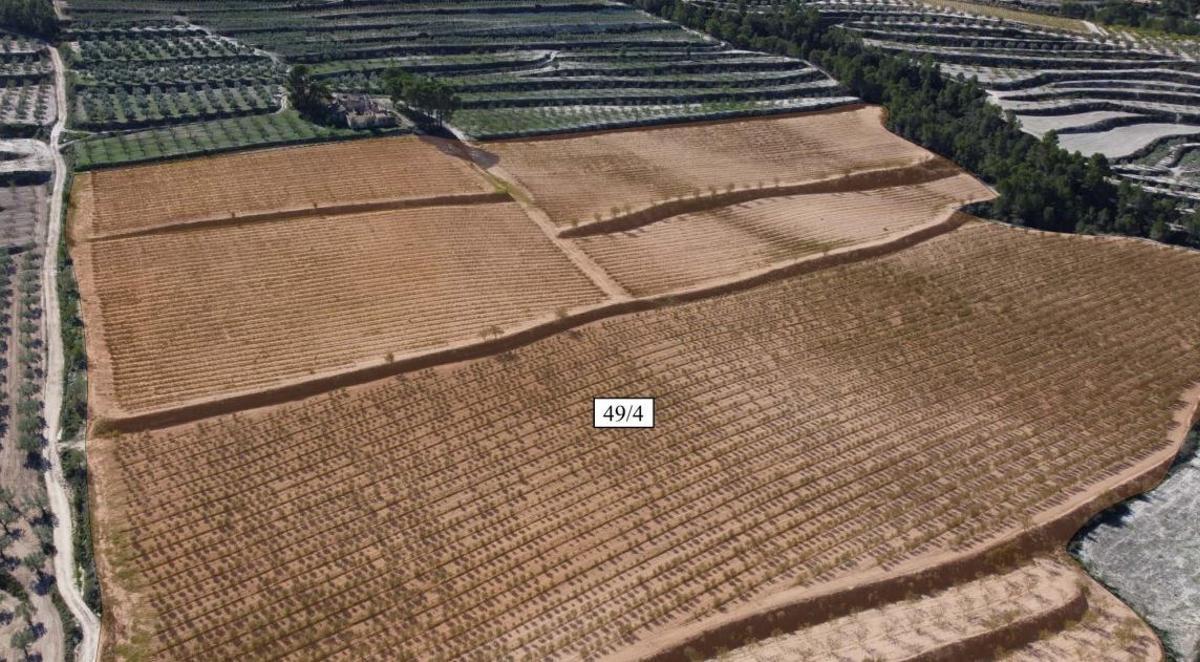 Terrenos en los que se proyecta la macroplanta solar de Moixent.