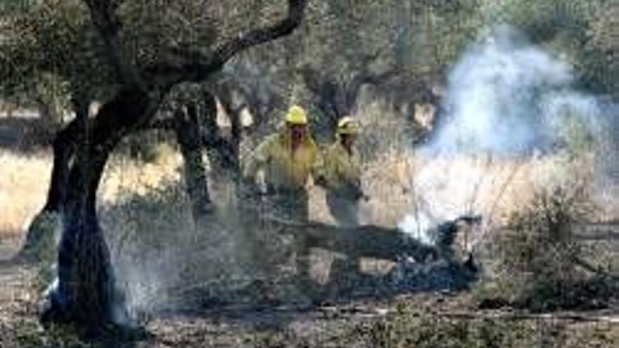 La Montaña tiene un plan específico para prevenir que haya incendios