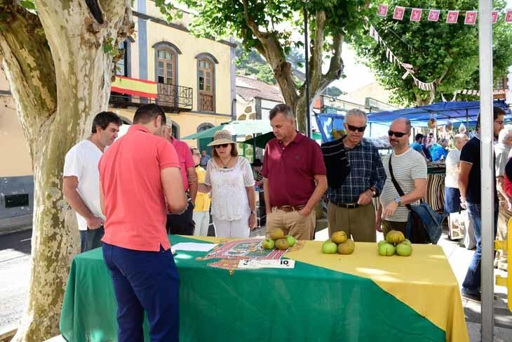 Fiesta de la manzana de Valleseco