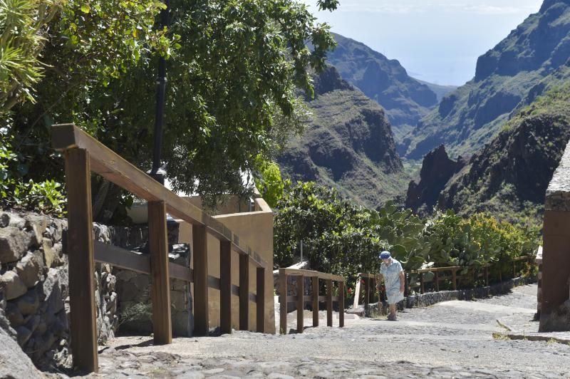 Inauguración del camino de las bestias en Ingenio