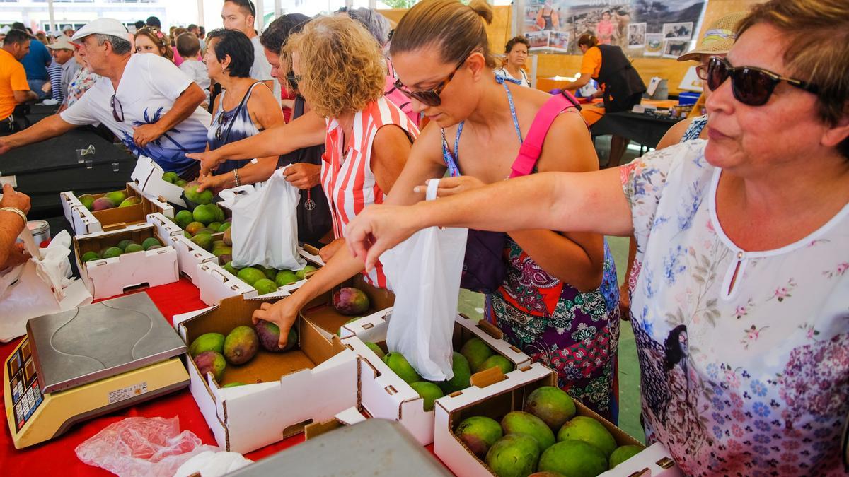 Unas mujeres compran aguacates en la Feria del Aguacate, en Mogán.