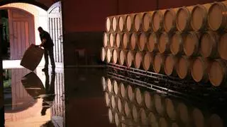 Tres vinos de la DO Toro, incluidos en la "Liga 99" de los mejores de España