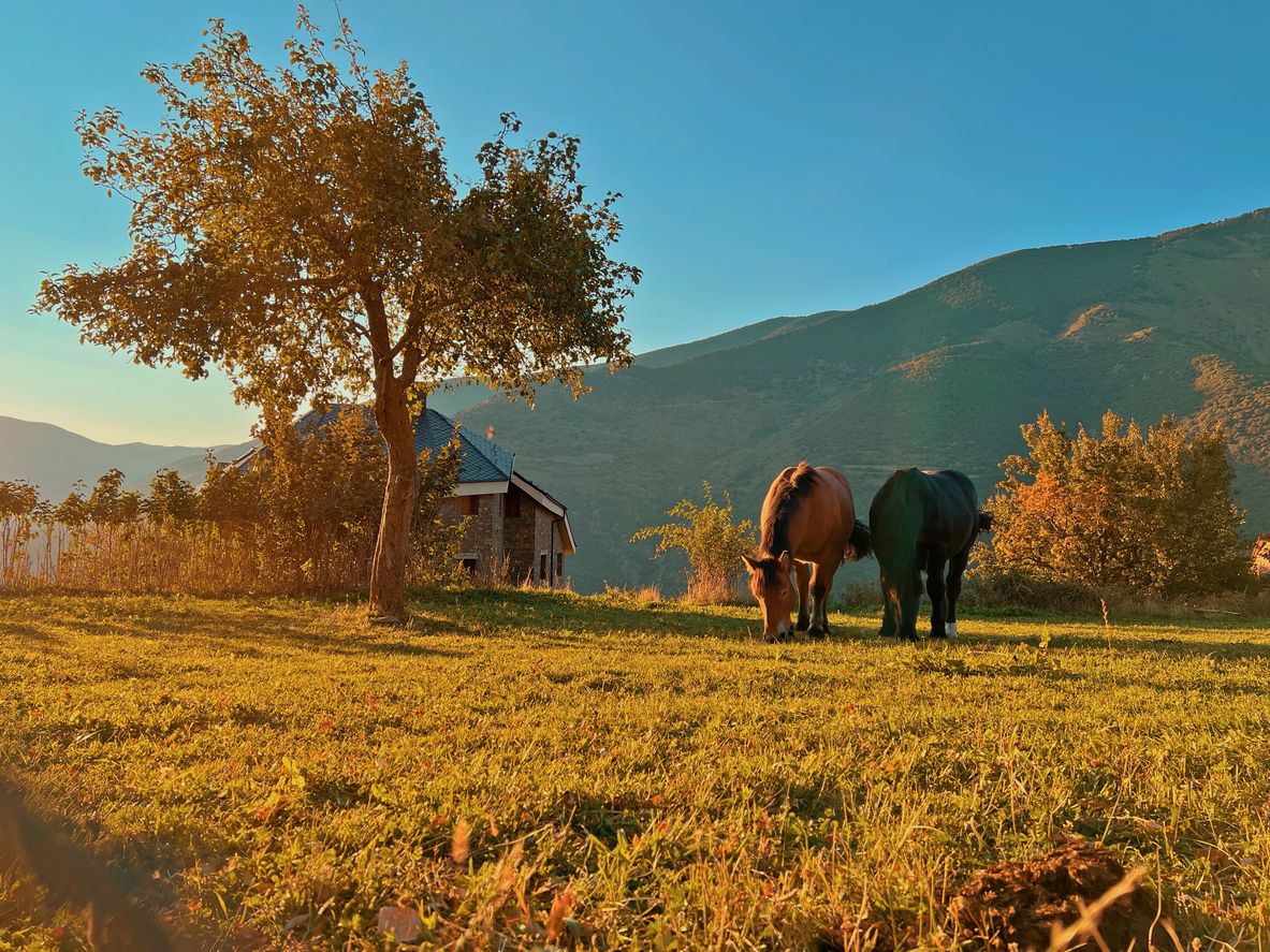 Pallars Sobirá en Lleida.
