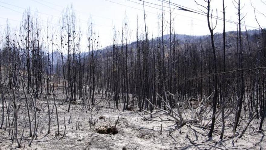 El incendio de Cortes de Pallás agravara los procesos erosivos en la cuenca del Júcar  .