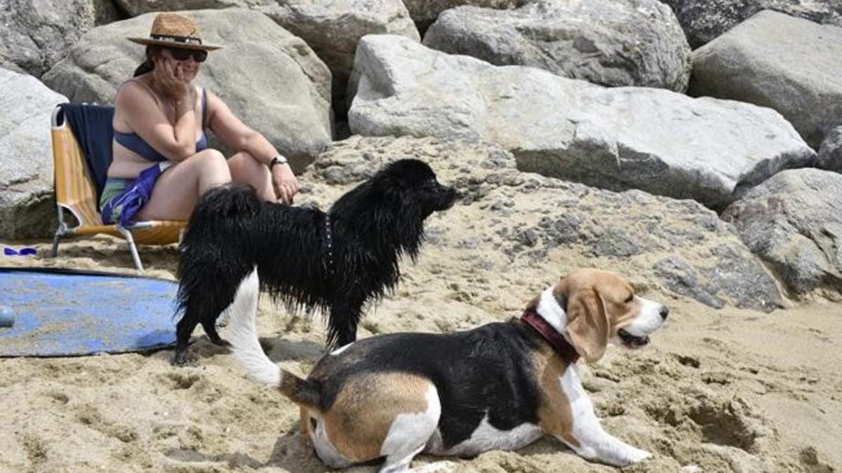 Playa de Llevant habilitada para perros.