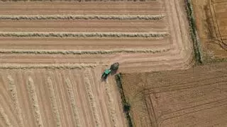 La organización JARC pide exenciones fiscales para jóvenes que arrienden tierras y evitar que las acaparen fondos de inversión