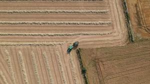 Un tractor recoge la paja depositada en un campo tras la cosecha, en el Empordà.