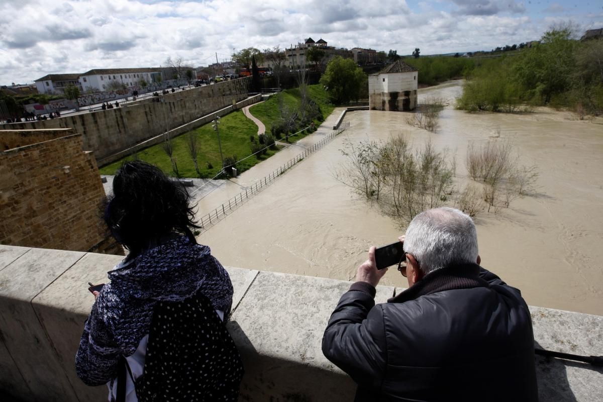 Córdoba, pendiente de la crecida del Guadalquivir