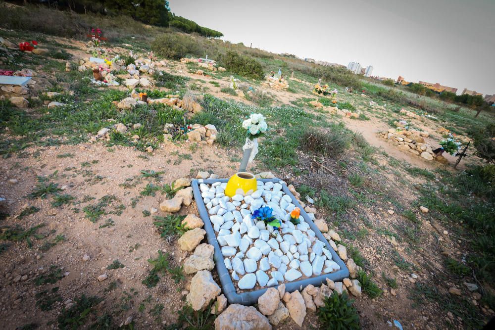 Junto al parque de Lo Albentosa de Torrevieja se extienden fosas y lápidas en una práctica no regulada