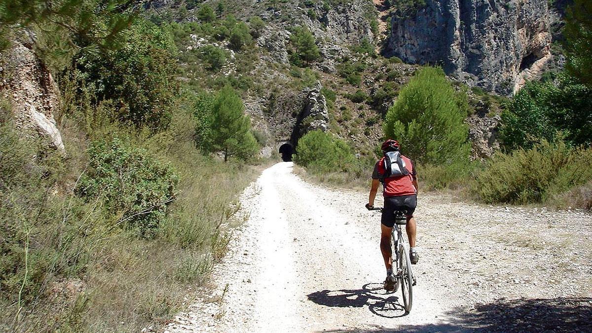 Mountainbikes sind so gefragt, dass es davon derzeit keine Neuräder auf Mallorca gibt