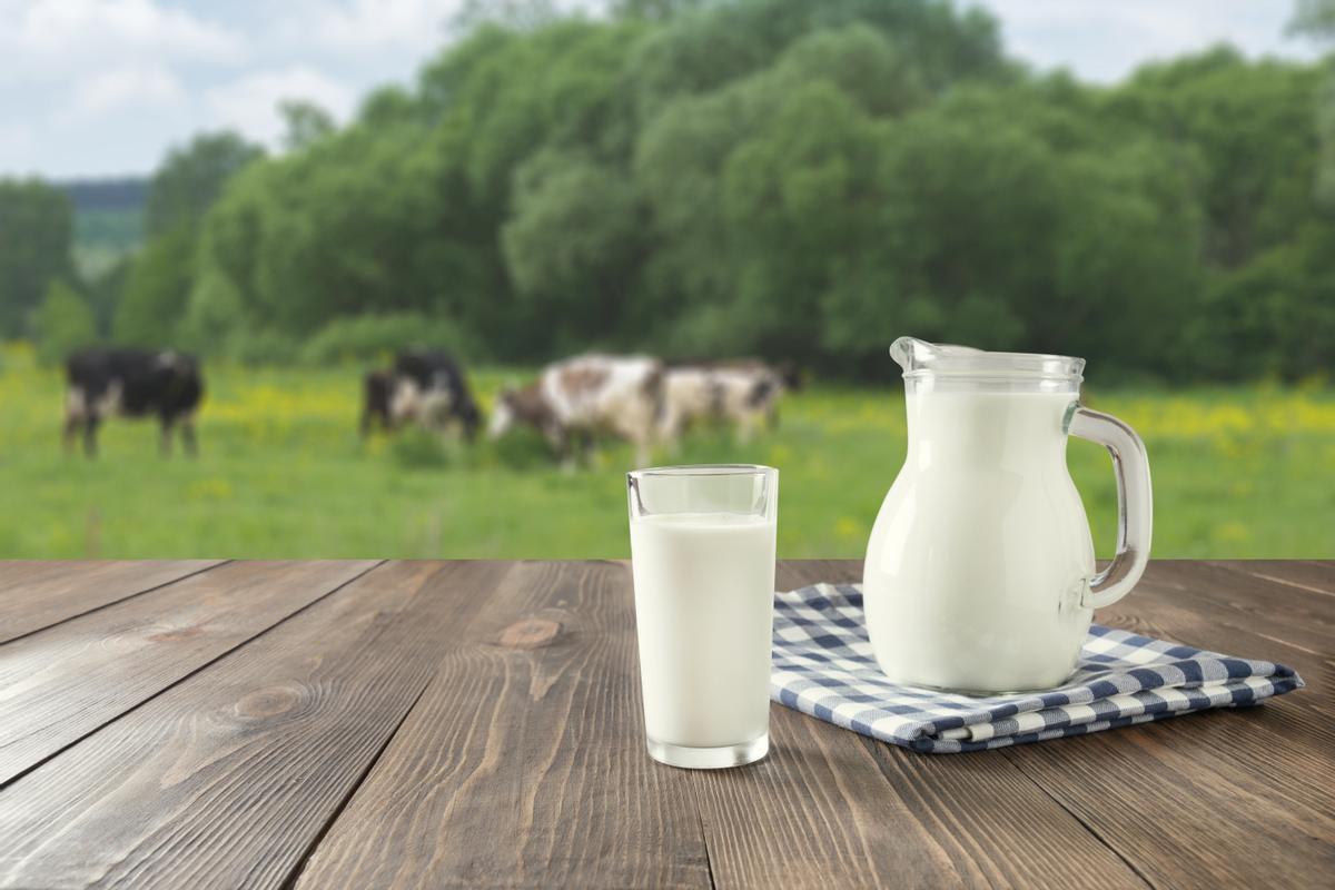 Kéfir Mercadona | La bebida es vegana y contiene bacterias beneficiosas para nuestro intestino