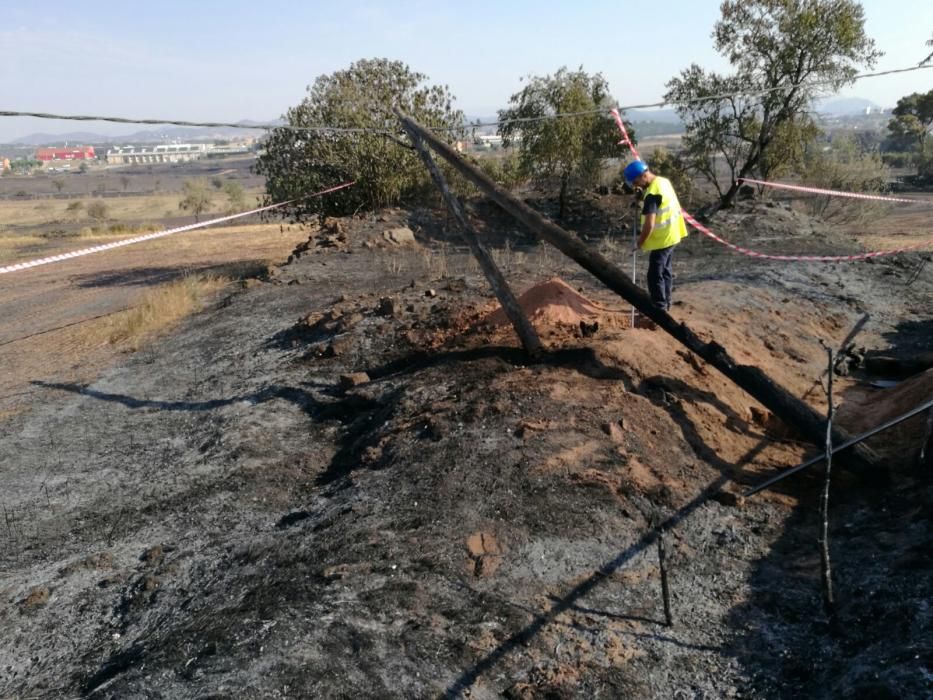 El desolador paisatge després del foc