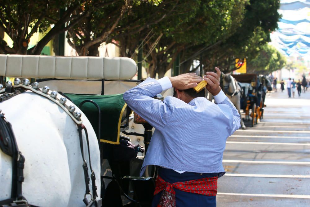 Caballos en el Real de la Feria