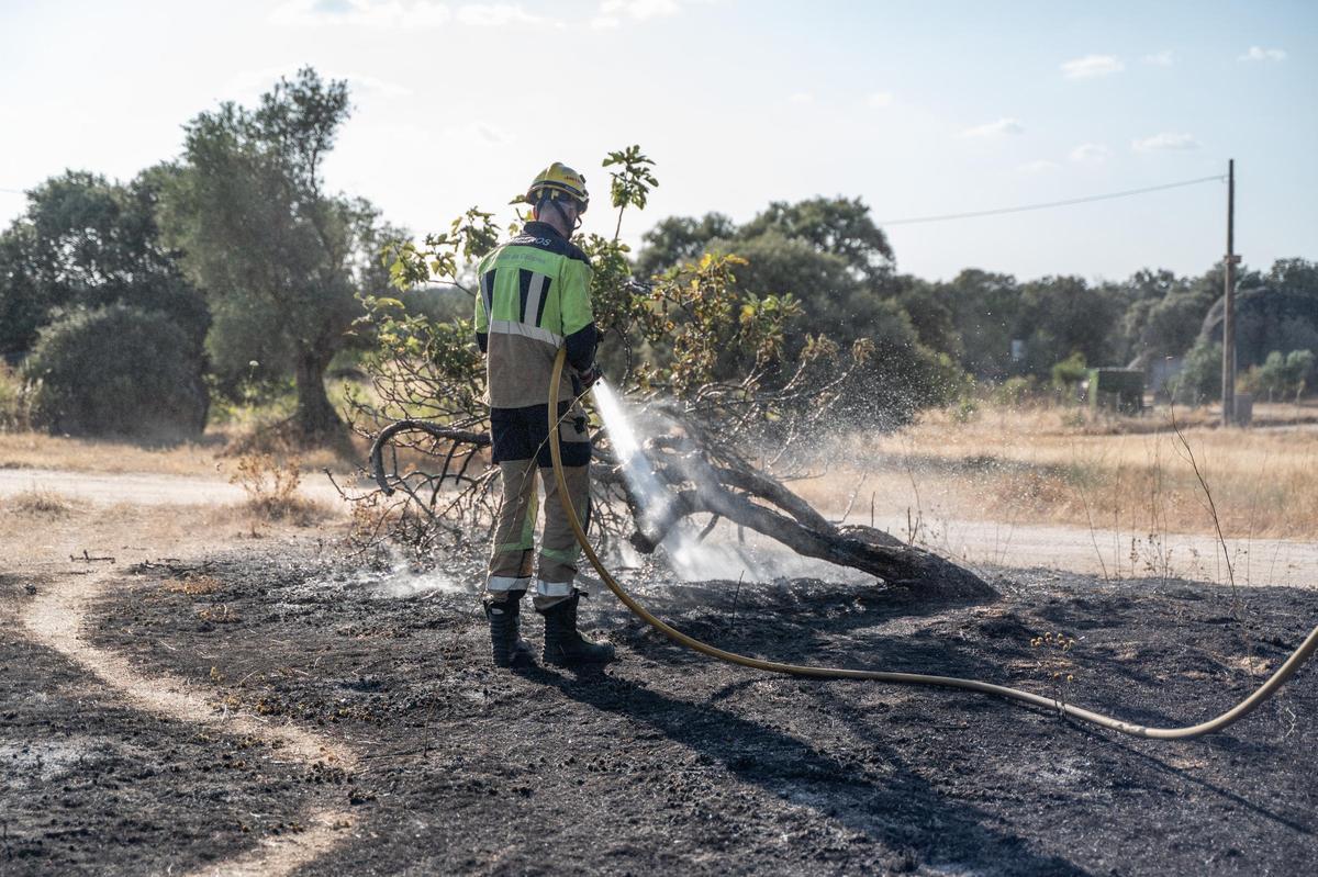 Fotogalería | Las imágenes del incendio de Las Viñas, en Arroyo de la Luz