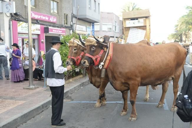 ROMERIA