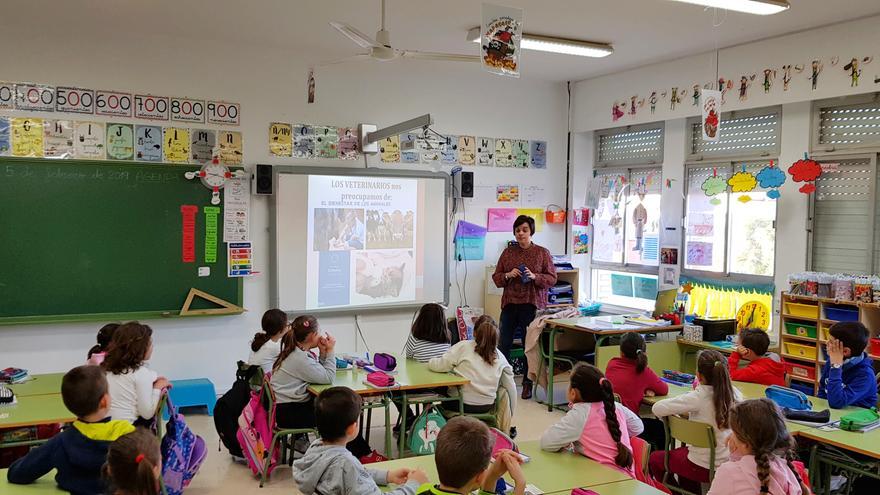 A clase con el veterinario: así son los talleres para niños sobre el cuidado a las mascotas