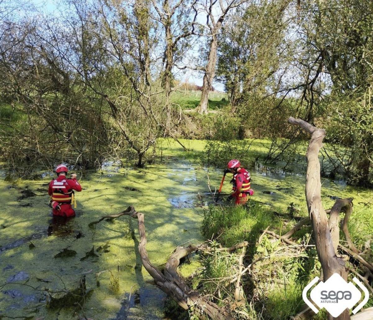 Dos miembros del ERIE de Cruz Roja rastreando una laguna en Quintes. | SEPA