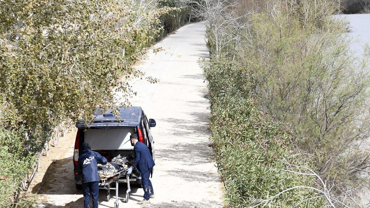 El rescate del cadáver hallado en el río Segura este domingo, en imágenes