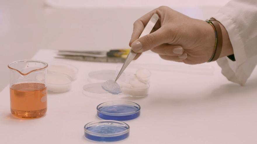 Investigadores del CSIC desarrollan un aerogel biodegradable con aplicaciones en el sector alimentario