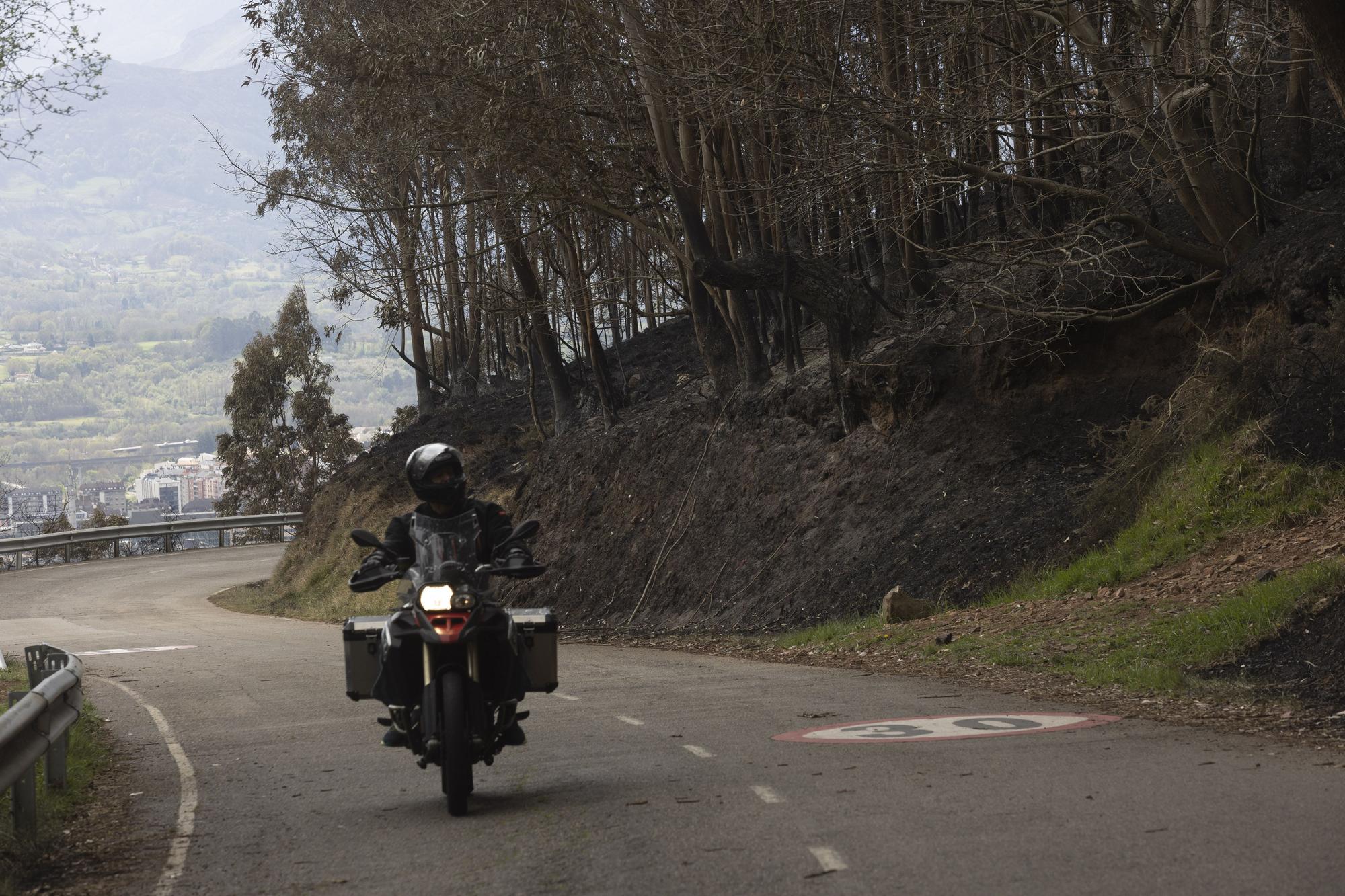 El aspecto del Naranco tras unos incendios históricos