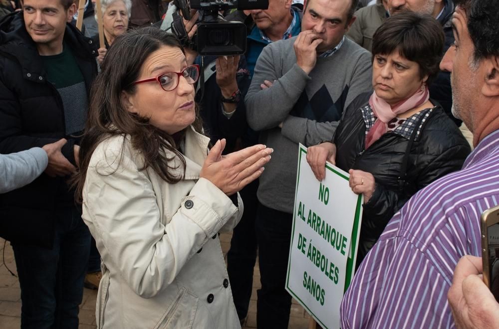 Manifestación por la Xylella en Altea