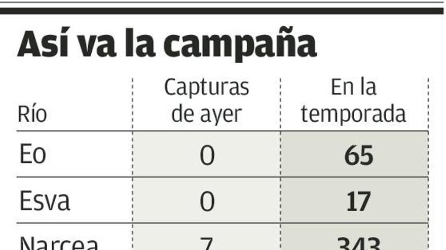 Primer cupo de la temporada en el Narcea