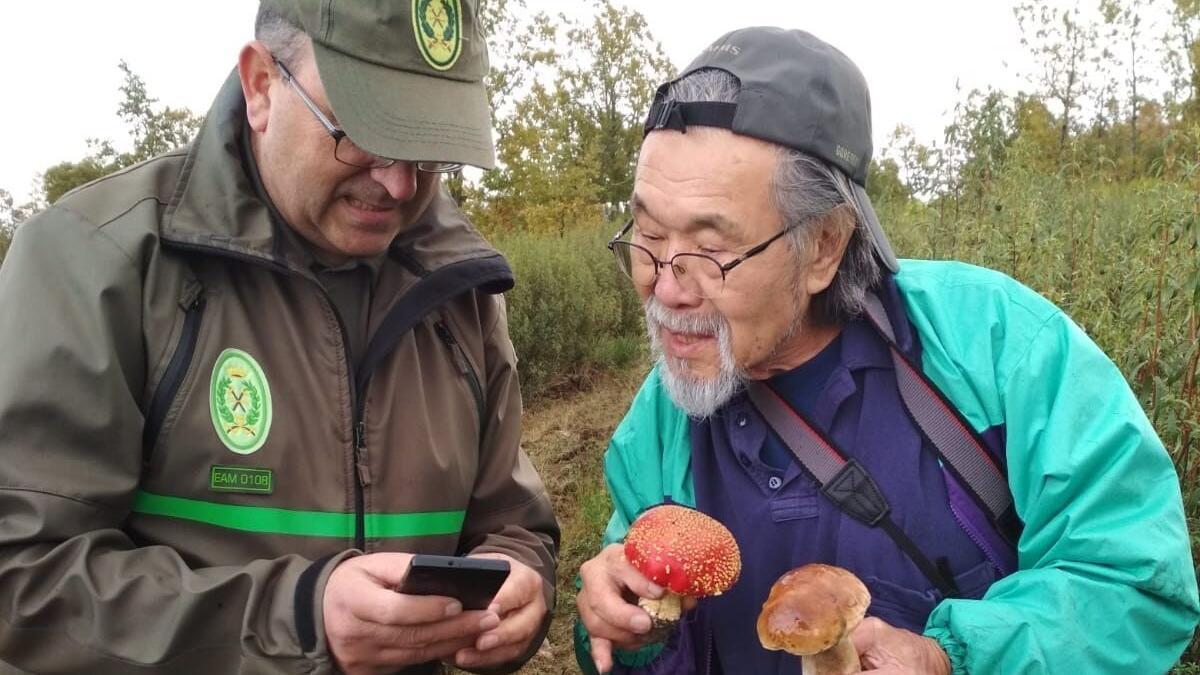 Un guarda y un recolector japonés analizan un par de ejemplares de setas.