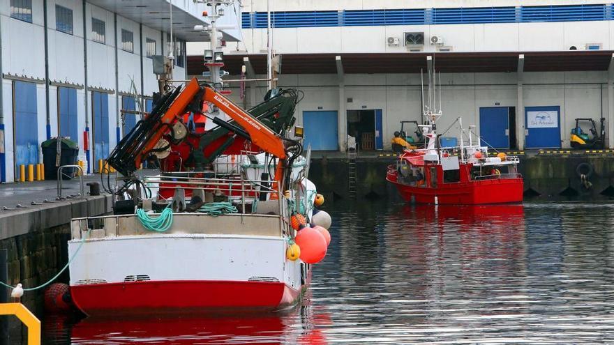 Pesca y conserva gallegas alargan sus tentáculos a más de medio mundo: hito en países e ingresos