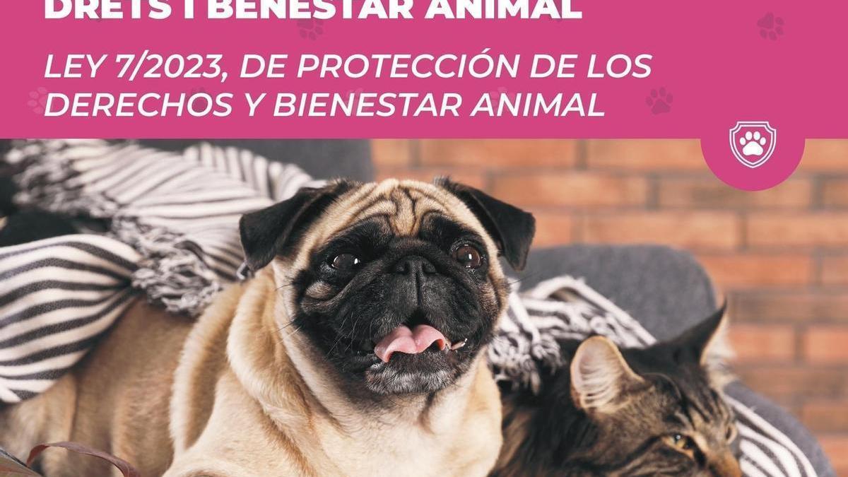 El cartel de la campaña iniciada por el Ayuntamiento de Llucmajor
