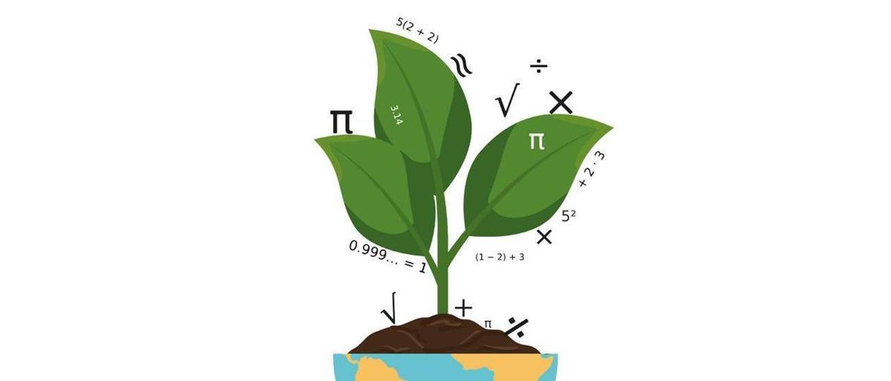 planta