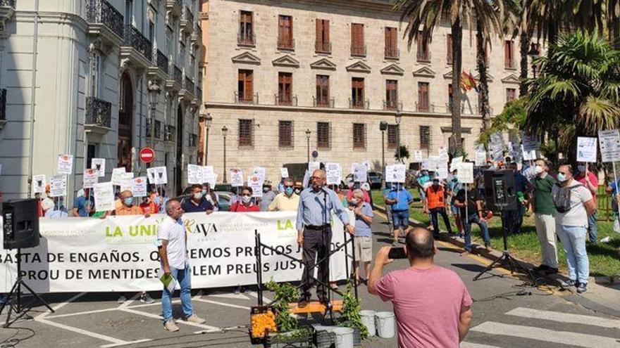 Los agricultores reclaman soluciones para luchar contra la plaga del Cotonet