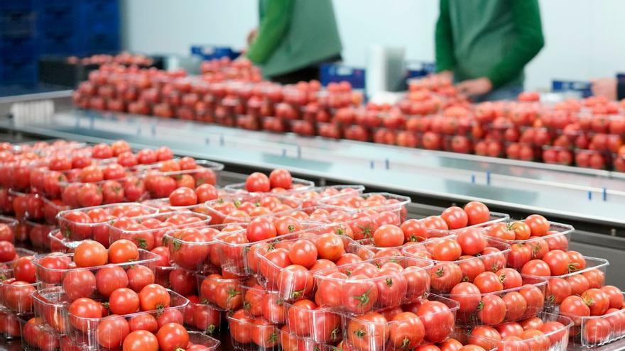 Inauguran un nuevo modelo de supermercado en Mallorca con más espacio para frescos y zona de descanso para clientes