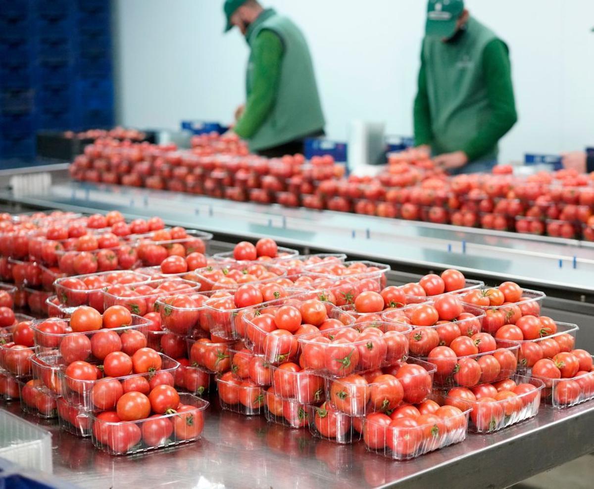 Mercadona cuenta con 47 tiendas en Baleares.