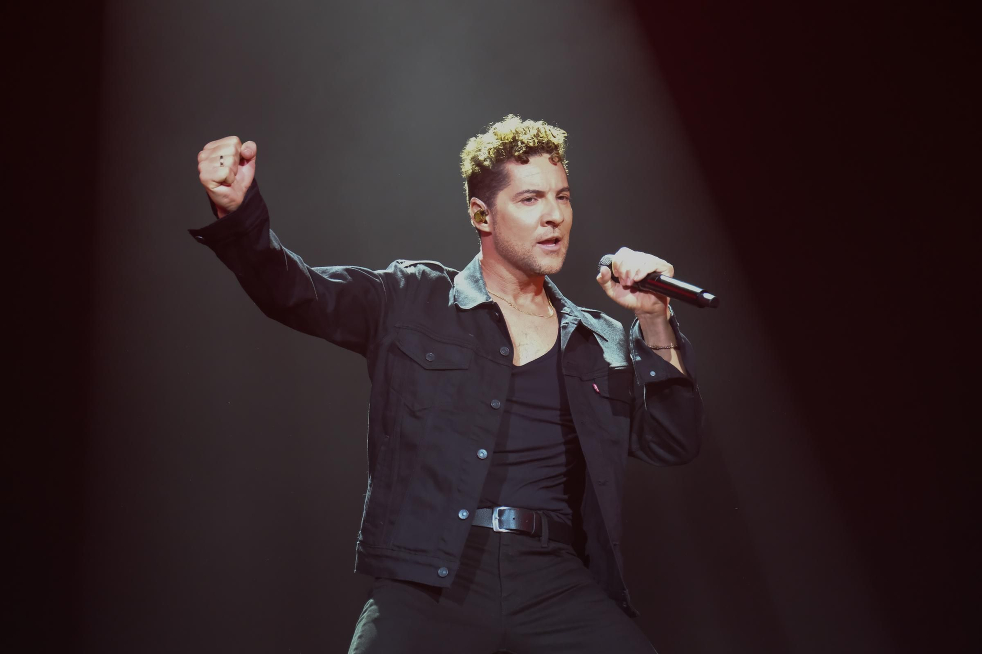 El concierto de David Bisbal en el Martín Carpena de Málaga, en imágenes