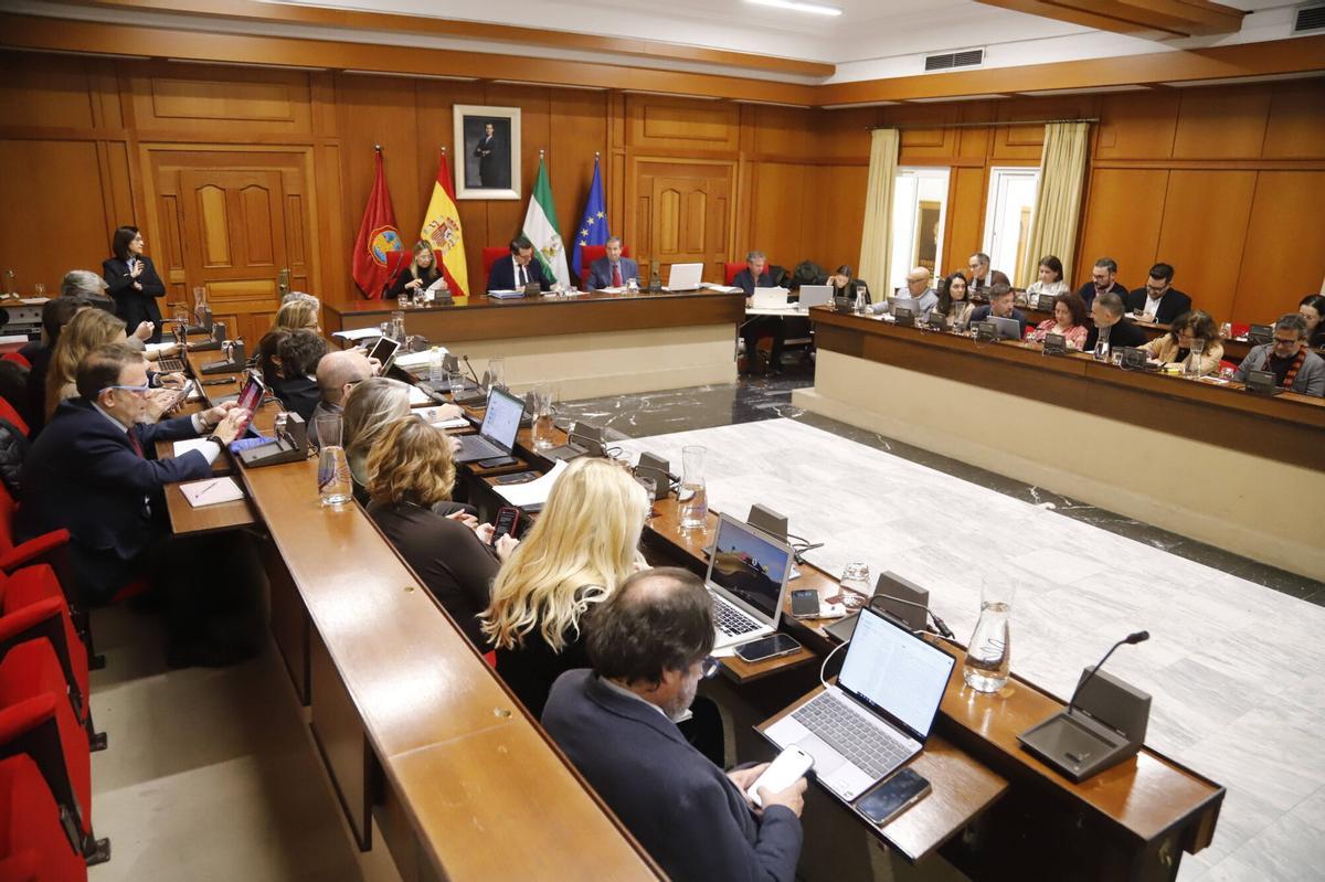 A.J.González Córdoba Pleno del del Ayuntamiento