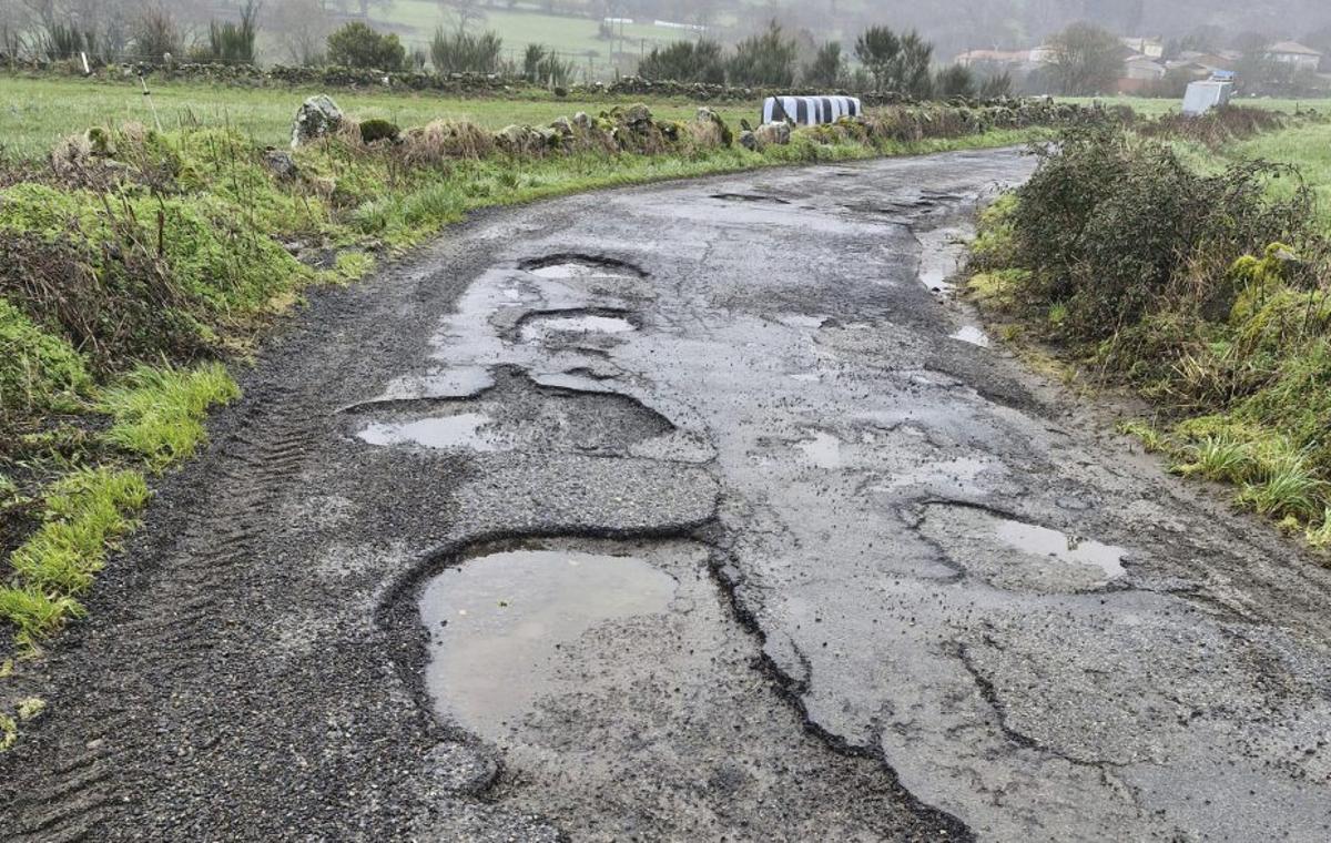 Baches en una pista de Rodeiro. |
