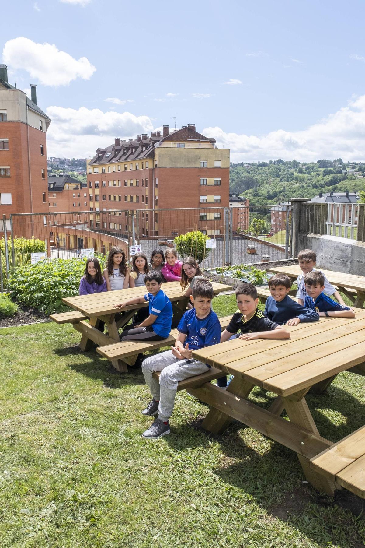 En imágenes | Las Campas, el colegio de Oviedo que ya come de lo que cultiva En imágenes | Las Campas, el colegio de Oviedo que ya come de lo que cultiva