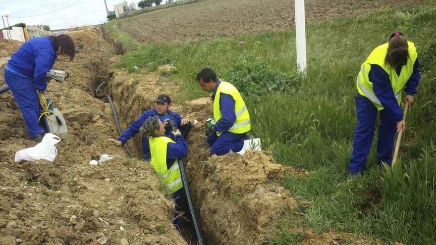 Finaliza el taller de formación y empleo de Roales