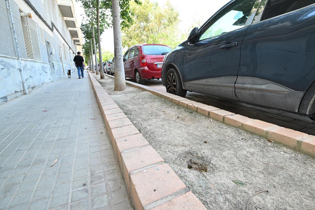 Parterres en mal estado.
