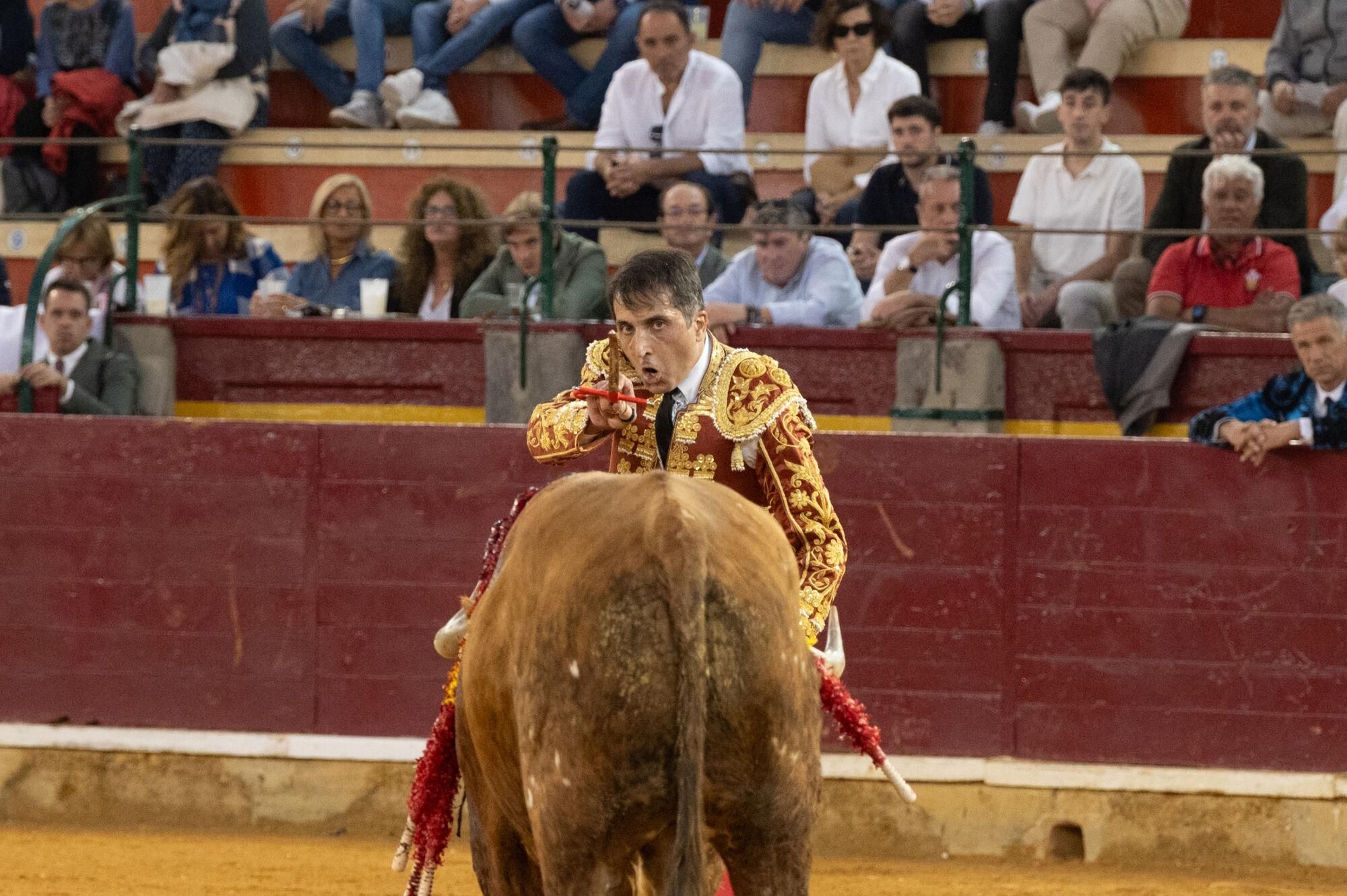 Concurso de ganaderías de la Feria del Pilar