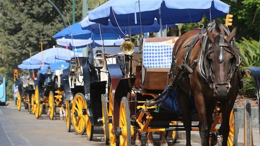 Coche de caballos en la Plaza de la Marina