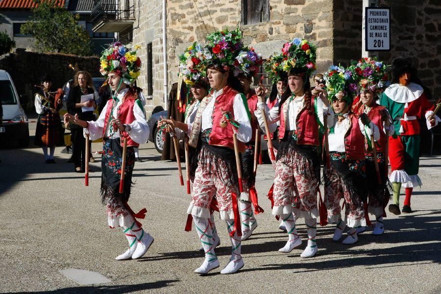 Día de la Provincia 2016 en Villardeciervos