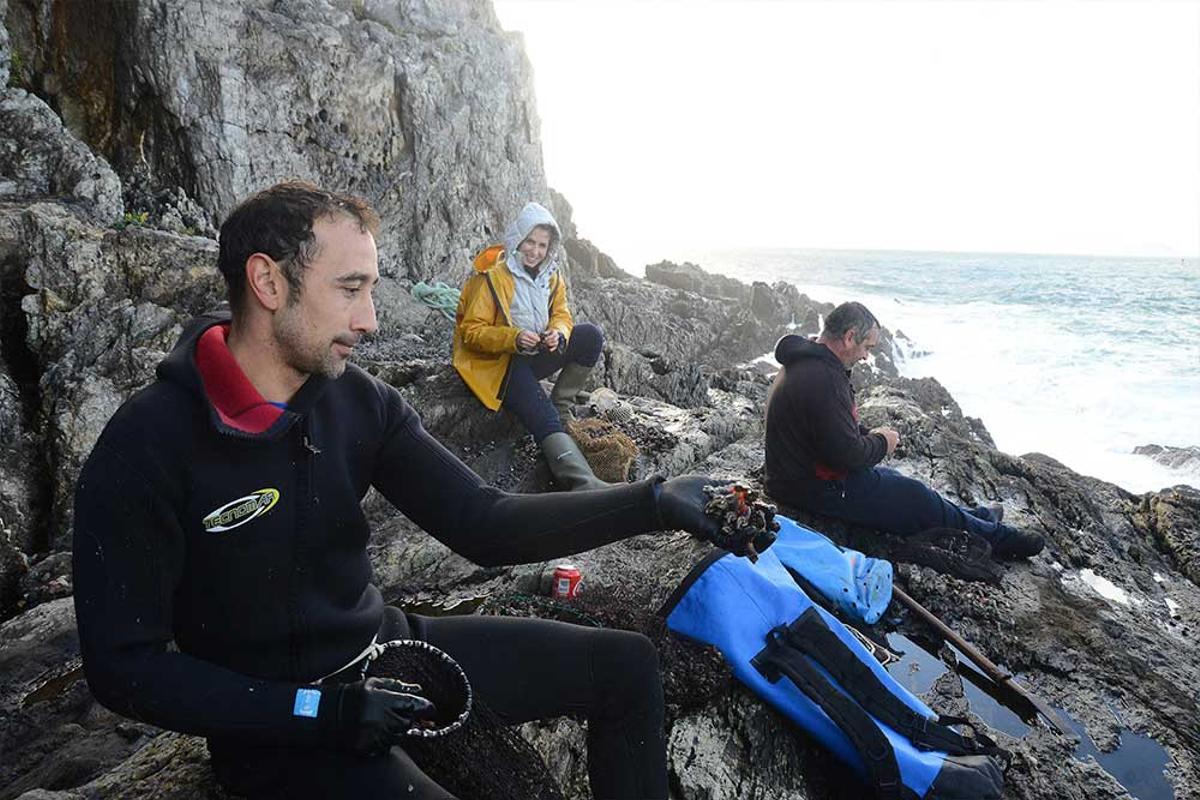 Los gladiadores de las rocas