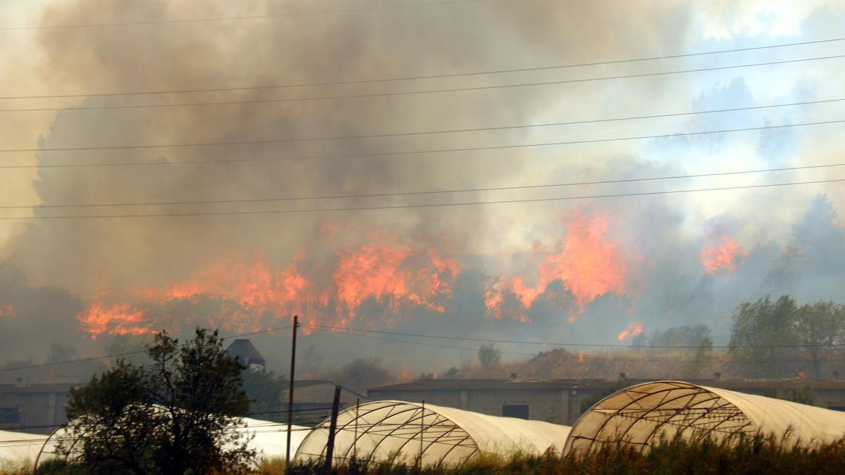 Els hivernacles de Les Arnaules envoltats de foc