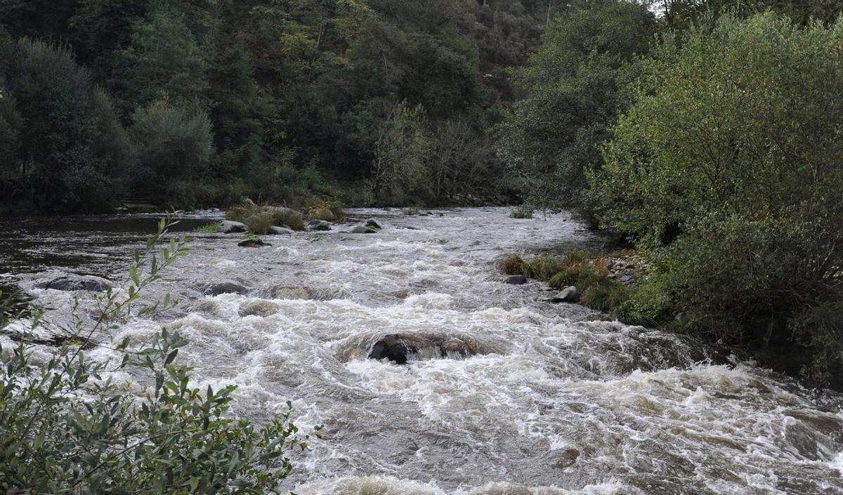 El río Deza, ayer, a su paso por el área recreativa de A Carixa. | Bernabé/Javier Lalín