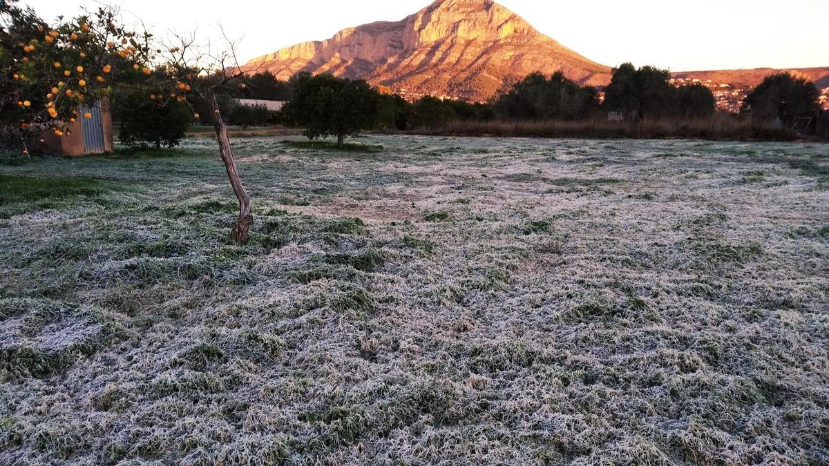 Un camp blanc i gelat per la rosada a la partida de Tarraula de Xàbia, amb el Montgó al fons