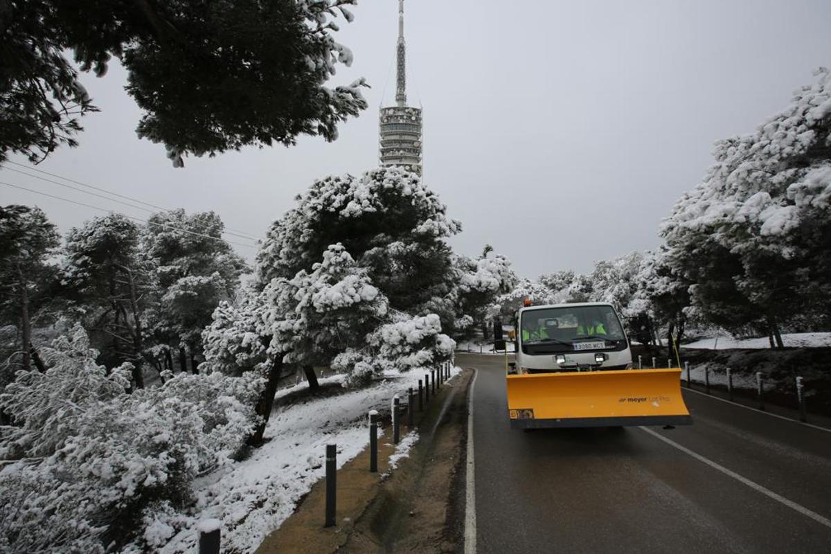 La nieve llega a Barcelona: Collserola, cubierta de blanco