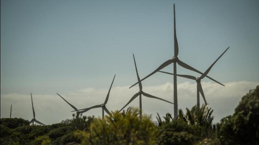 Descarbonización en Canarias: sobran quijotes y faltan molinos