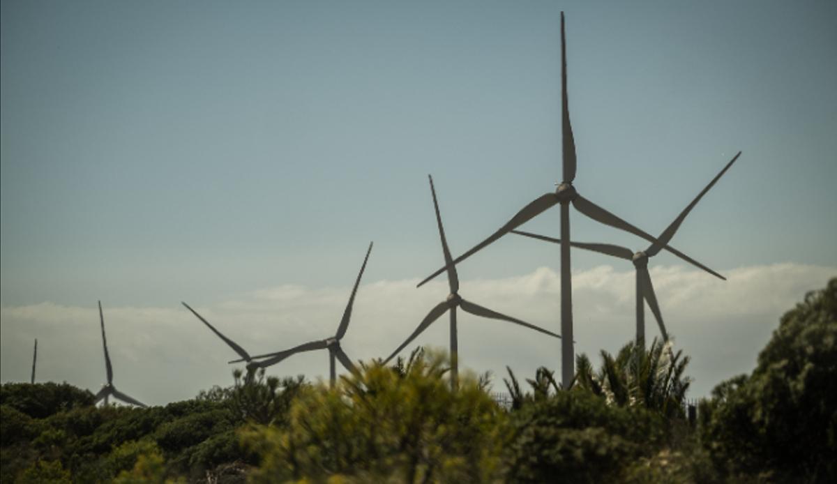 Aerogeneradores del parque eólico La Morra, situado en la localidad tinerfeña de Arico.