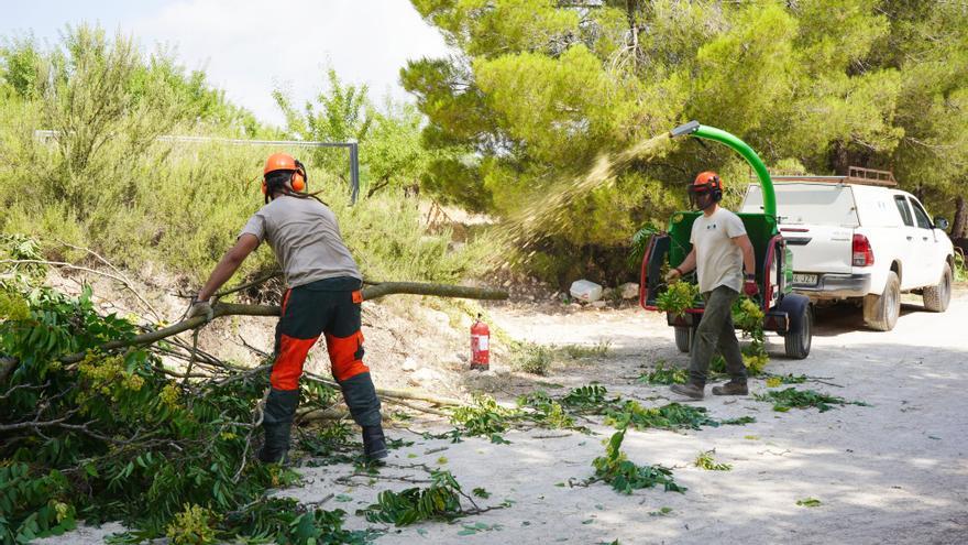 Ontinyent elimina especies invasoras en tres parajes naturales